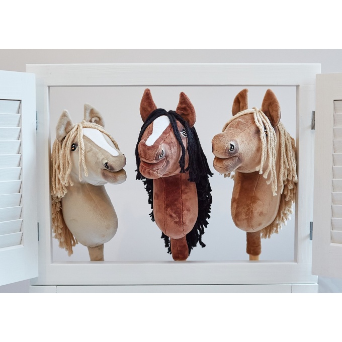 Ohh_horse105 (Kopiowanie)