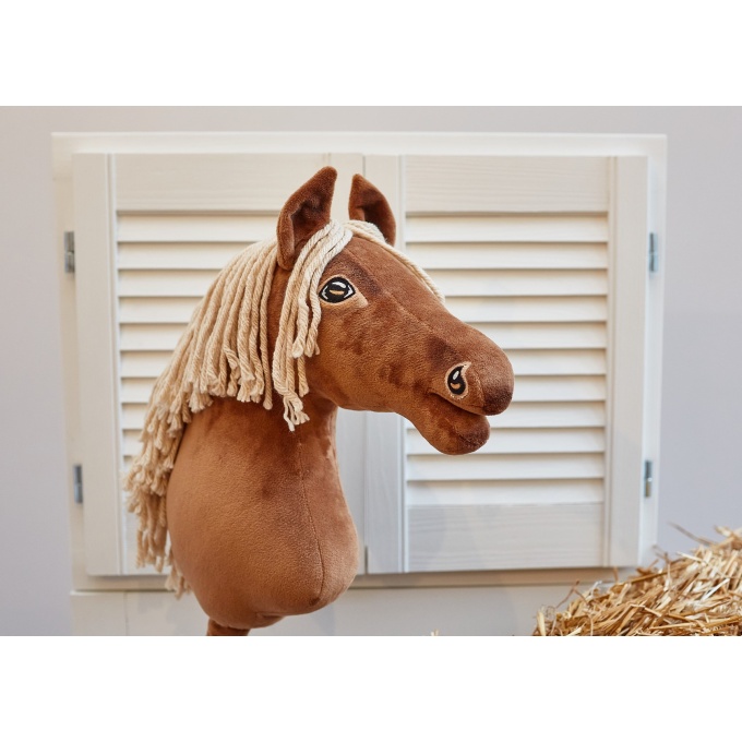 Ohh_horse113 (Kopiowanie)