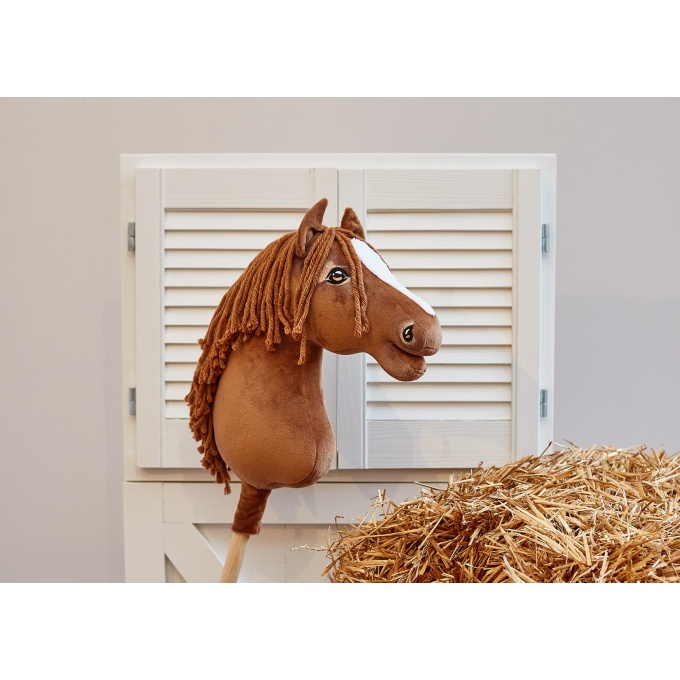 Ohh_horse118 (Kopiowanie)