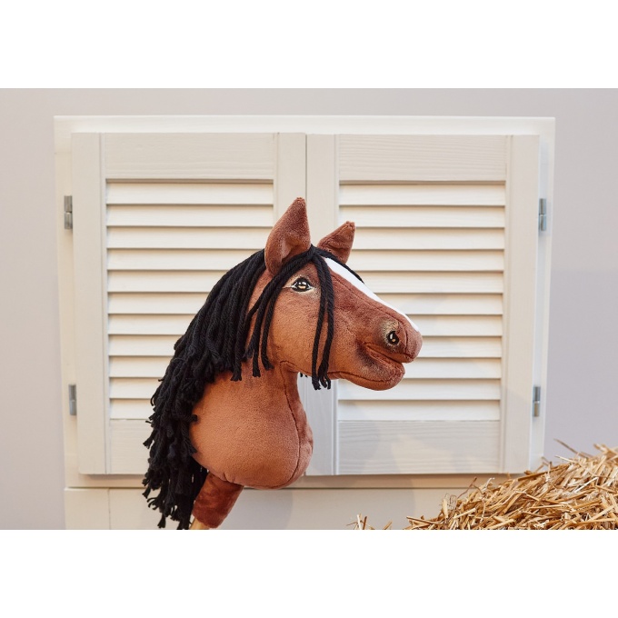 Ohh_horse121 (Kopiowanie)